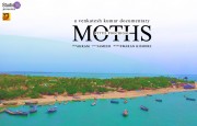 Moths - Veetil Puchigal